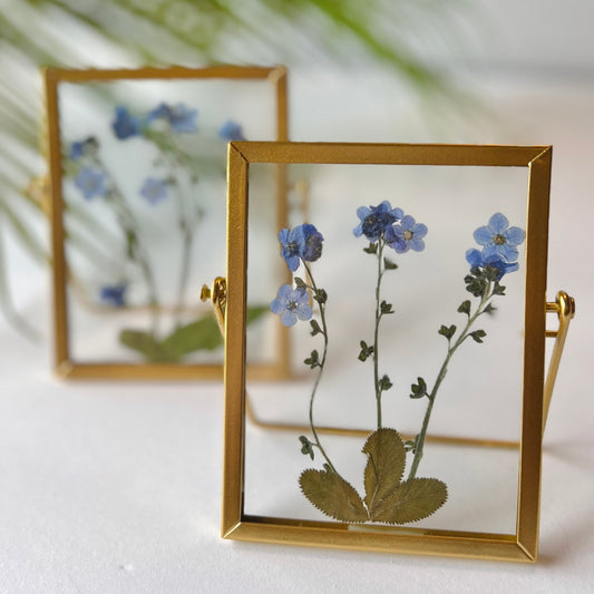 PRESSED FLOWER FRAMES - Forget-me-not Flowers